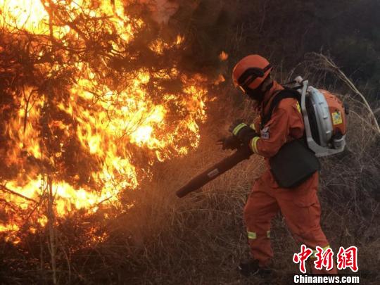 图为森林消防进入火场扑火。 大理州森林消防支队供图 摄  图为森林消防进入火场扑火。 大理州森林消防支队供图