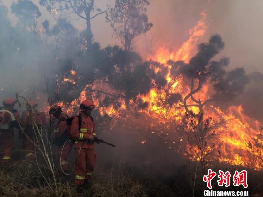 图为森林消防进入火场扑火。 大理州森林消防支队供图 摄  图为森林消防进入火场扑火。 大理州森林消防支队供图