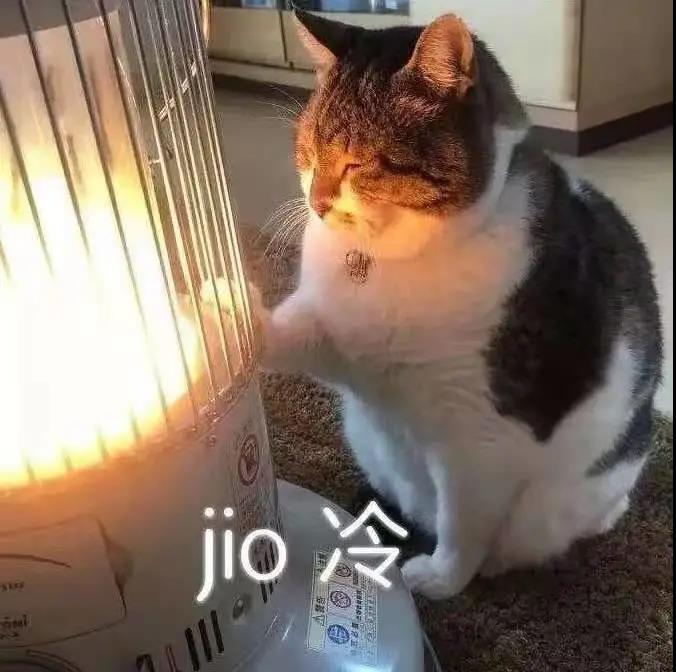 2.jpg 2.jpg