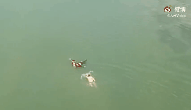 微信图片_20200911083905