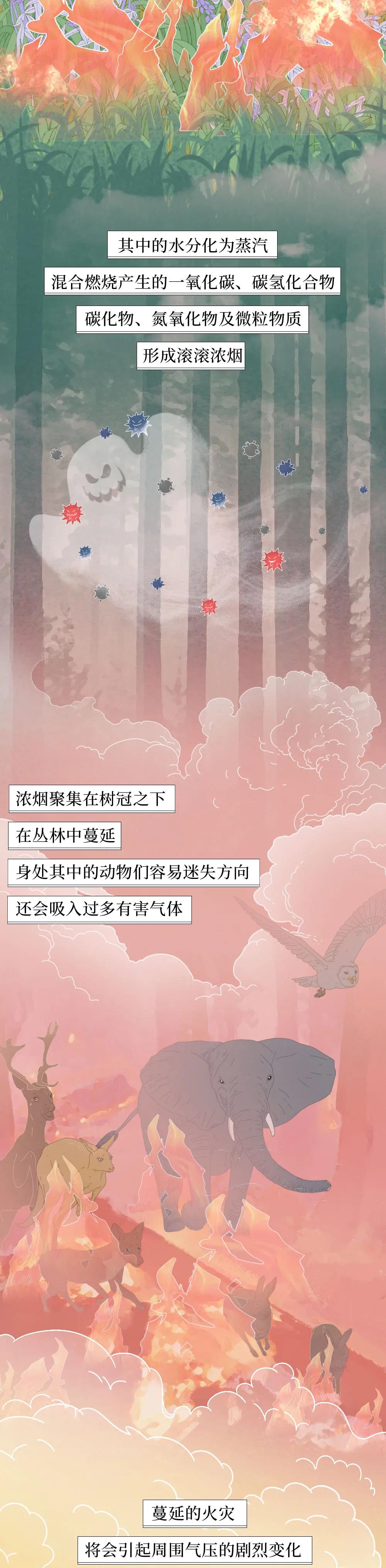 微信图片_20210507101242.jpg